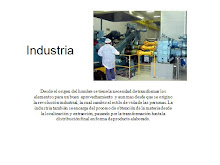 diaposotiva 2