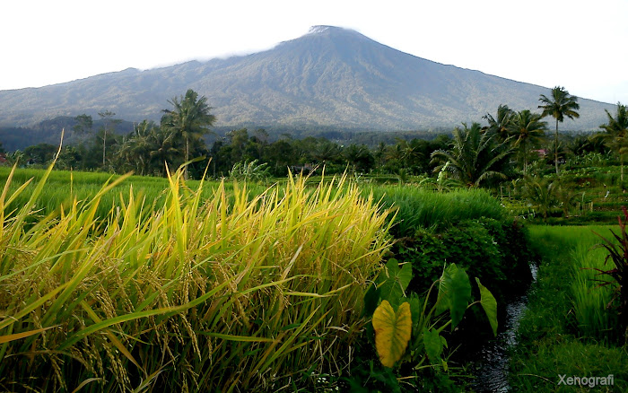 Gunung Slamet