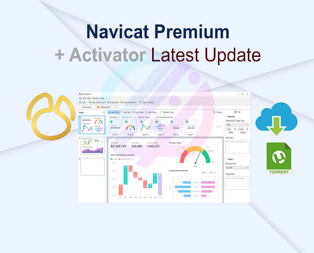 Navicat Premium 16.3.9 + Activator Latest Update