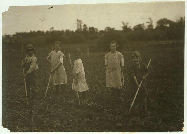 children of corn. Farm children hoeing corn