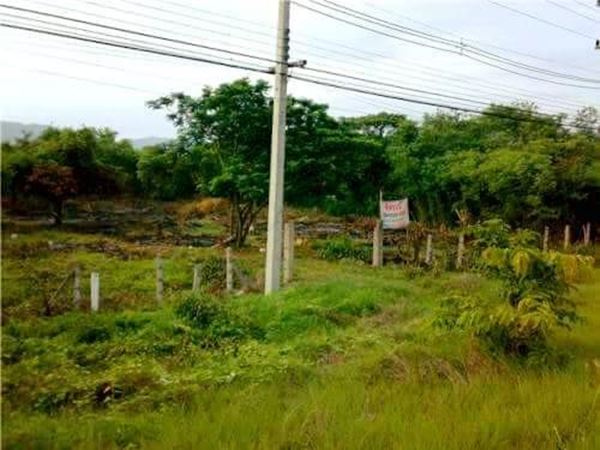 ขายที่ดิน จังหวัดลำปาง อำเภอเมืองลำปาง ตำบลพิชัย 4 ไร่ 3 งาน 51 ตร.ว.