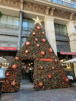 BACCANOのクリスマスツリー