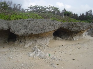 DSC01810