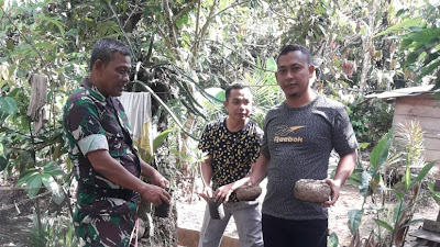 Kodim 0309/Solok, Kembangkan Tanaman Porang di Lubuk Malako