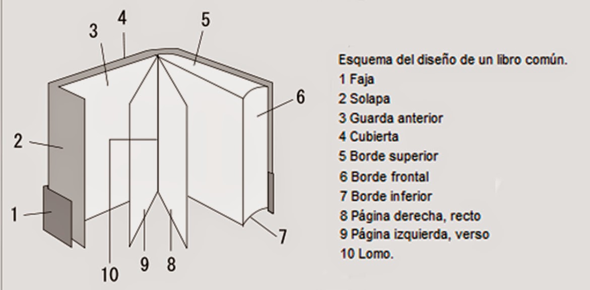 Download image Partes De Un Libro 2 Anatom A PC, Android, iPhone and ...