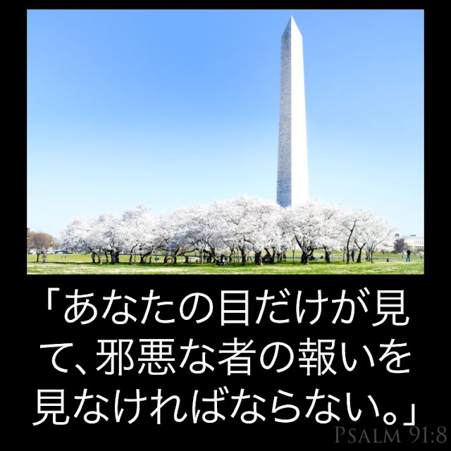 詩編第91章| 神はあなたを守ります！ 聖書研究、神、イエス、安全、宗教、信仰、ワシントン、アメリカ、旅行、記念、政府、詩1,2,3,4,5,6,7,8,9,10,11,12,13、 14,15,16、英語、写真、アメリカ、アメリカ、教会