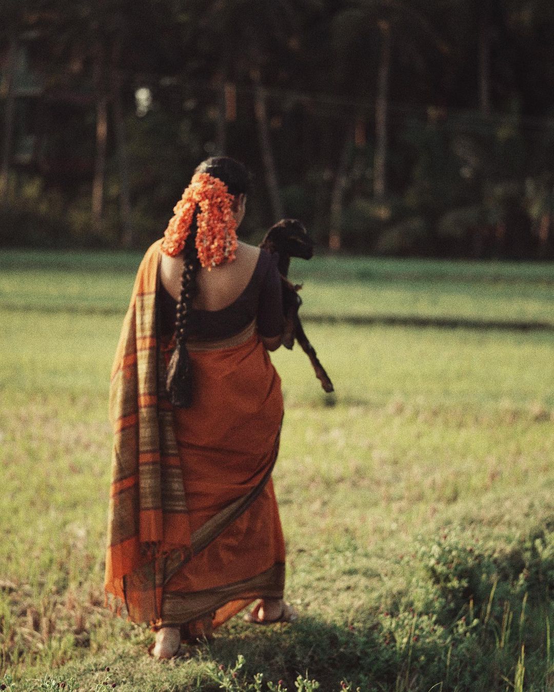 Dushara Vijayan Photoshoot in Saree