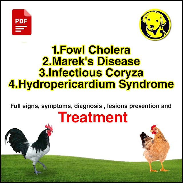 Free Download Fowl Cholera, Marek's disease, Infectious Coryza, Hydropericardium Syndrome Full Pdf