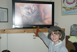 St Ronan's Primary School Osprey Watch visit