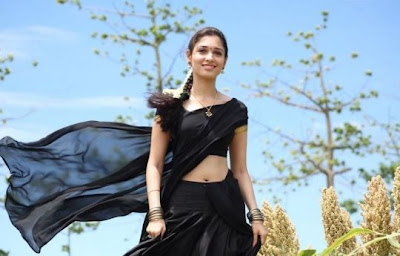 South Indian Actress in Black Saree Photos Tamanna
