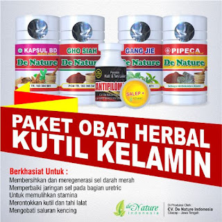 Obat Ampuh Menghilangkan Kutil Kemaluan 