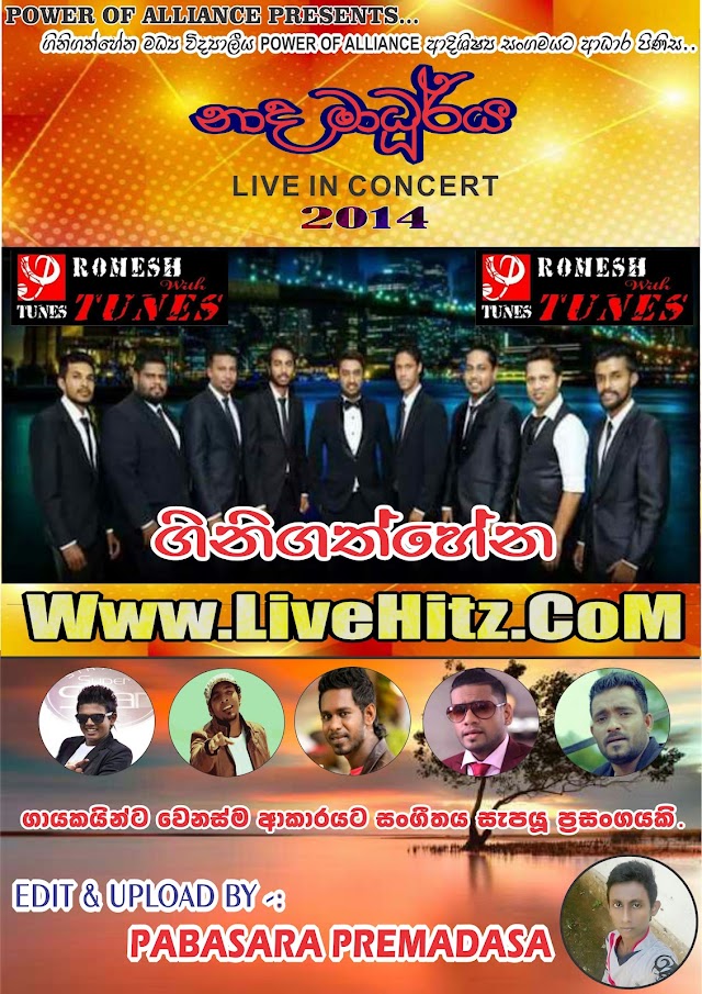 ROMESH WITH TUNES LIVE IN GINIGATHHENA 2014-12-03