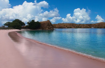 Pink Beach Island Romance