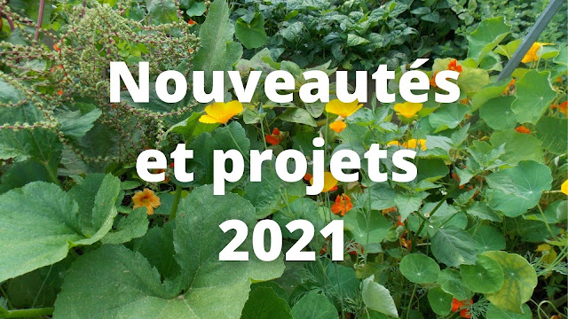 Nouveautés et projets 2021