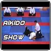 aikido show demostração de goplpes