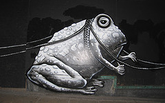 Photograph of a bullfrog in Phlegm's piece.