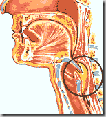 clip_image007