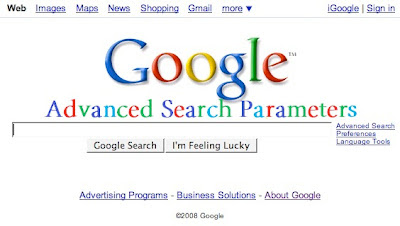 Google Search Parameters