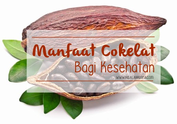 manfaat cokelat bagi kesehatan