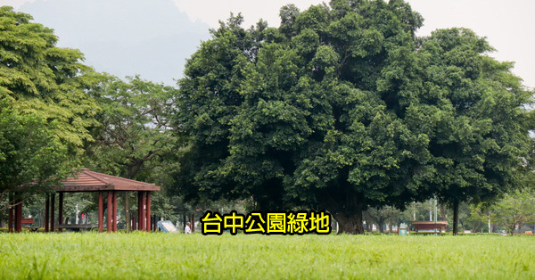 台中公園綠地景點|戶外踏青|休閒運動|親子景點|持續更新