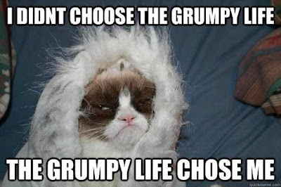 Grumpy Cat