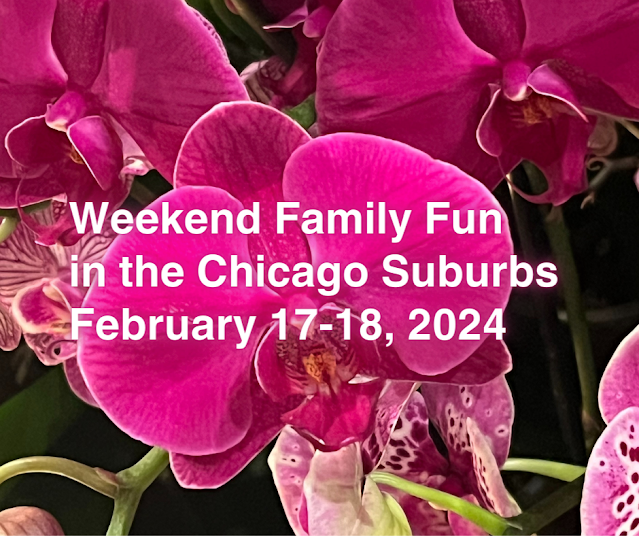 Family Fun in the Chicago Suburbs February 17-18, 2024