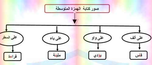 ورقة عمل  صور كتابة الهمزة  لغة عربية للصف الخامس فصل أول - موقع التعليم فى الإمارات