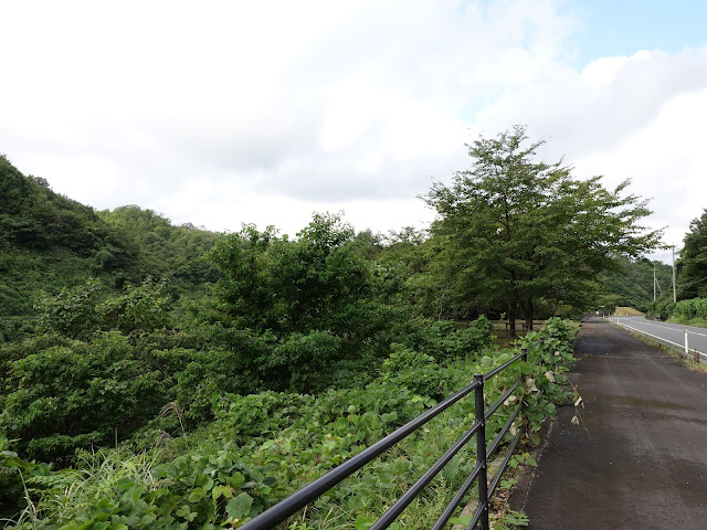 鳥取県道1号溝口伯太線