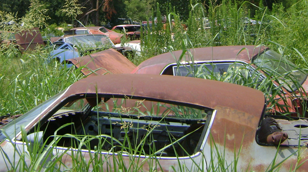 That's a Pontiac Trans Am blocking your view of the Mustangs