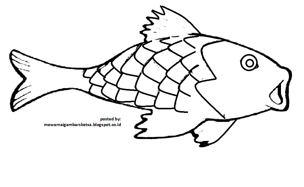 Mewarnai Gambar Mewarnai Gambar Sketsa Hewan Ikan 5
