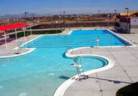 Williams Field Pool