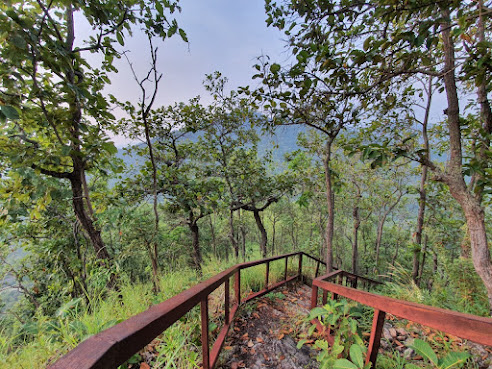 Path for walking in nature