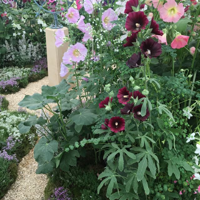 Hampton Court Flower Show