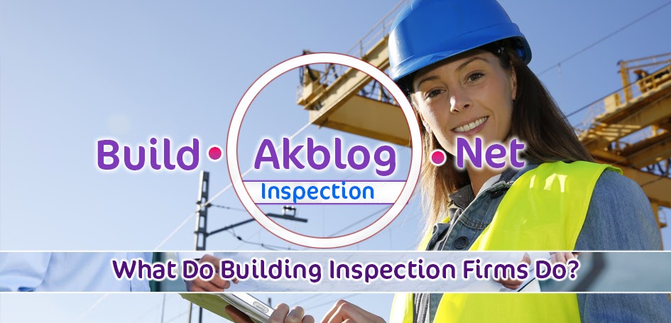 What Do Building Inspection Firms Do?