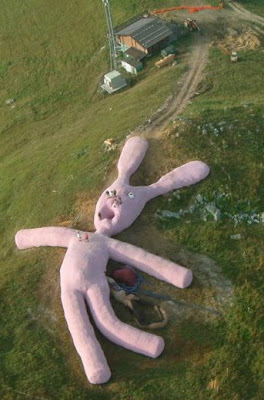 ตุ๊กตากระต่าย ใหญ่ที่สุดในโลก (Biggest Rabbit Doll)