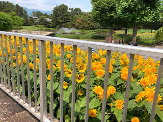 木曽三川公園センター　ひまわり　岐阜県海津市