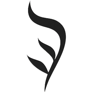 Web