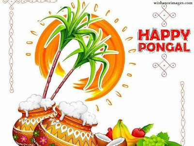 Happy Pongal Images For Family wishes