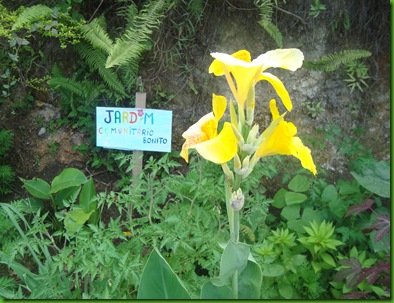 DSC07807