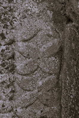 Carved Flowers, Killeshin Romanesque Church, Laois