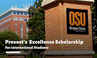 Provost Academic Merit Scholarships for Foreign Students in the United States