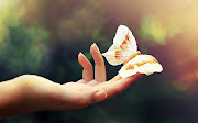 Butterfly [Wallpaper]. Posted by Masstti admin (wallpaper butterfly photography depth of field)