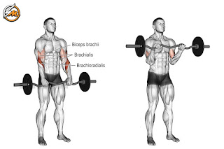 5 Best Bicep Curl Variations to Build Muscle
