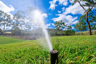 Commercial Landscaping