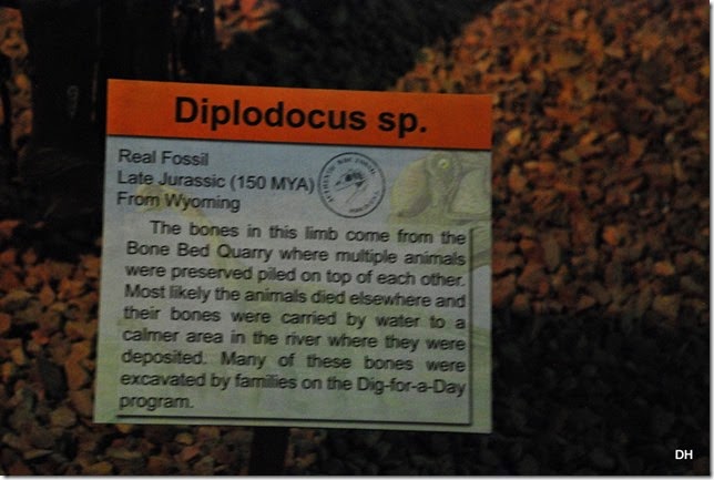 07-12-14 B Wyoming Dinosaur Center (177)