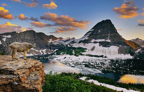 Crown of the Continent by Joseph Rossbach