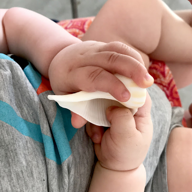 Seashell Exploration for Little Ones | Baby Playtime Activity | Linzer Lane Blog