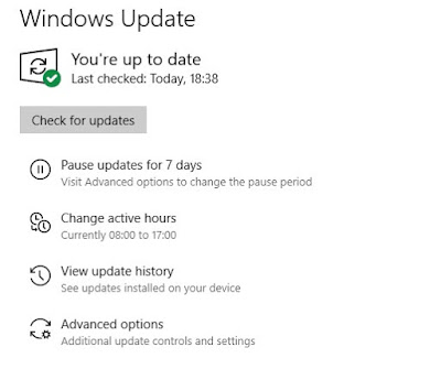 Windows updates check