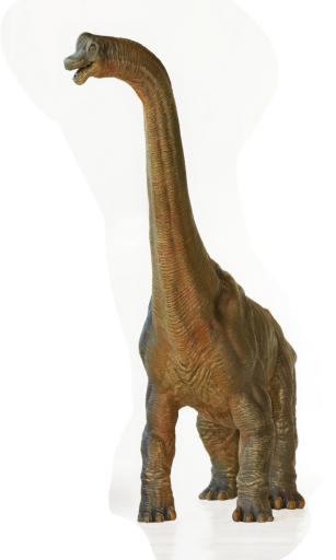 BRACHIOSAURUS