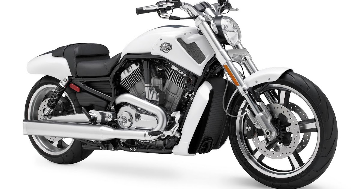 Macho Harley Davidson  VRSCF V  Rod  Muscle Info Artikel 